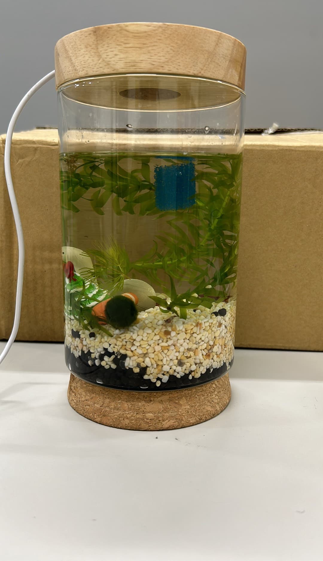 桌面LED微景觀小型魚缸 / 苔蘚生態瓶 (Desktop LED Mini Fish Tank / Terrarium)